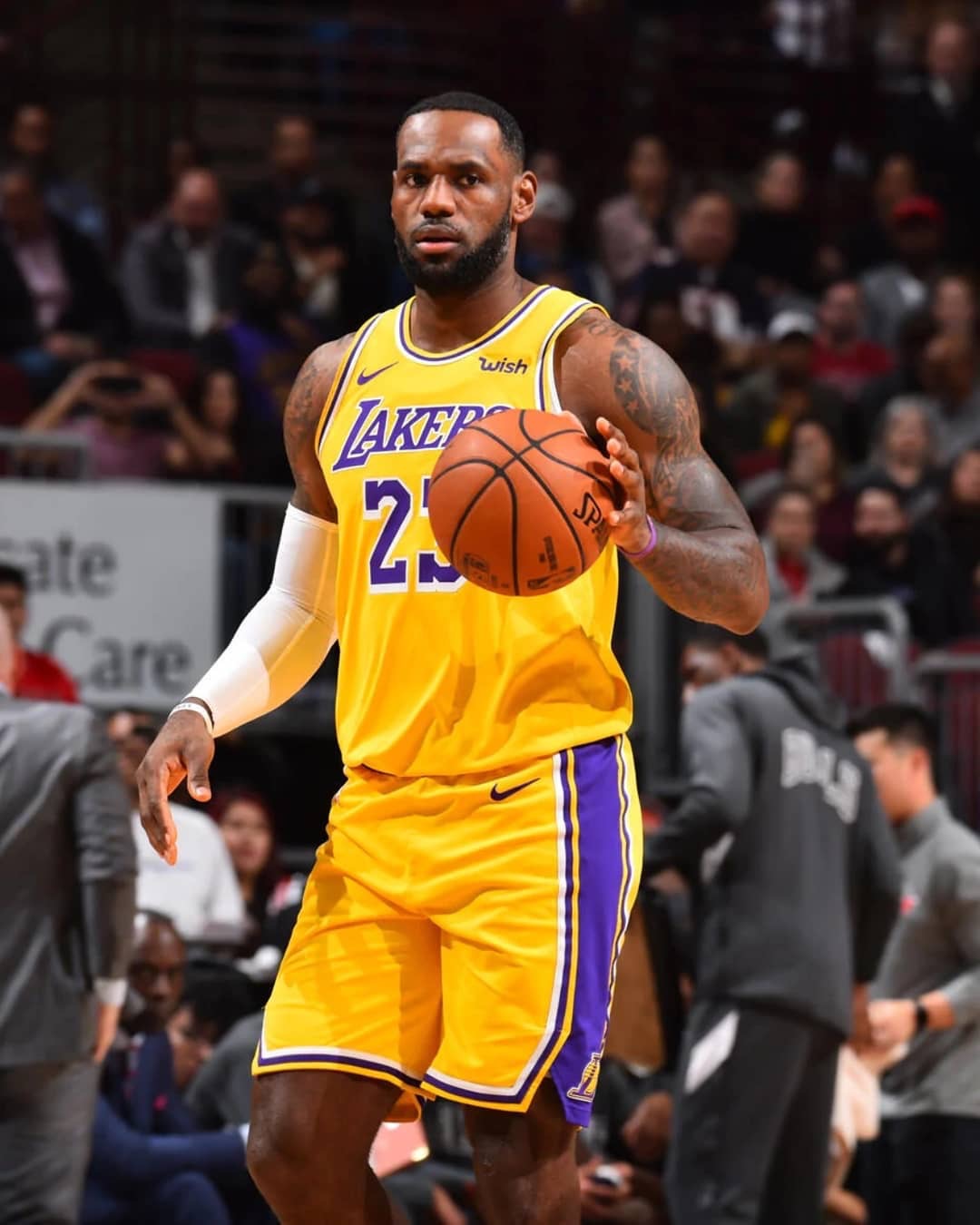 可进化的设 可进化的设